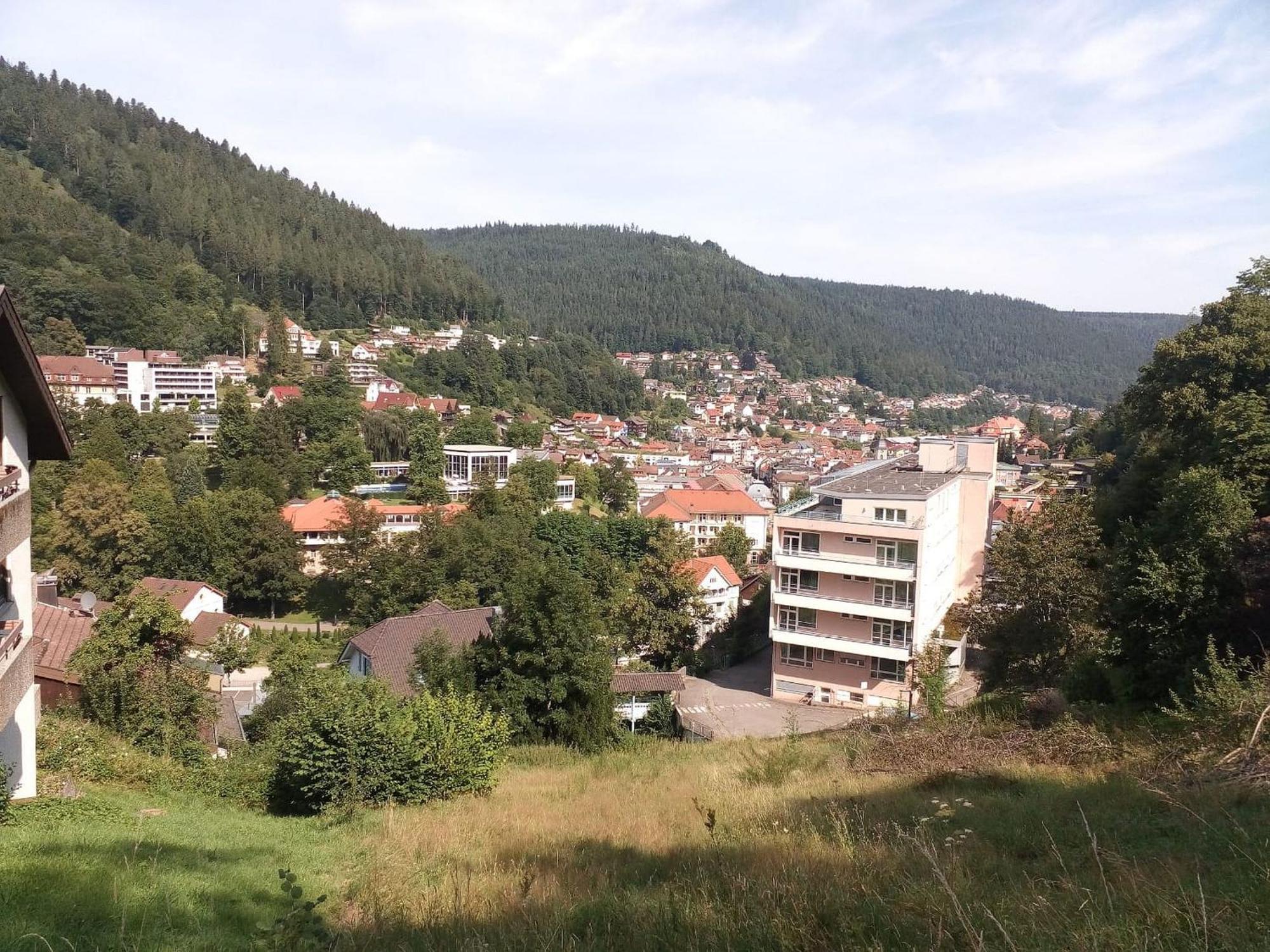 Ferienwohnung Tannenwald Bad Wildbad Eksteriør bilde