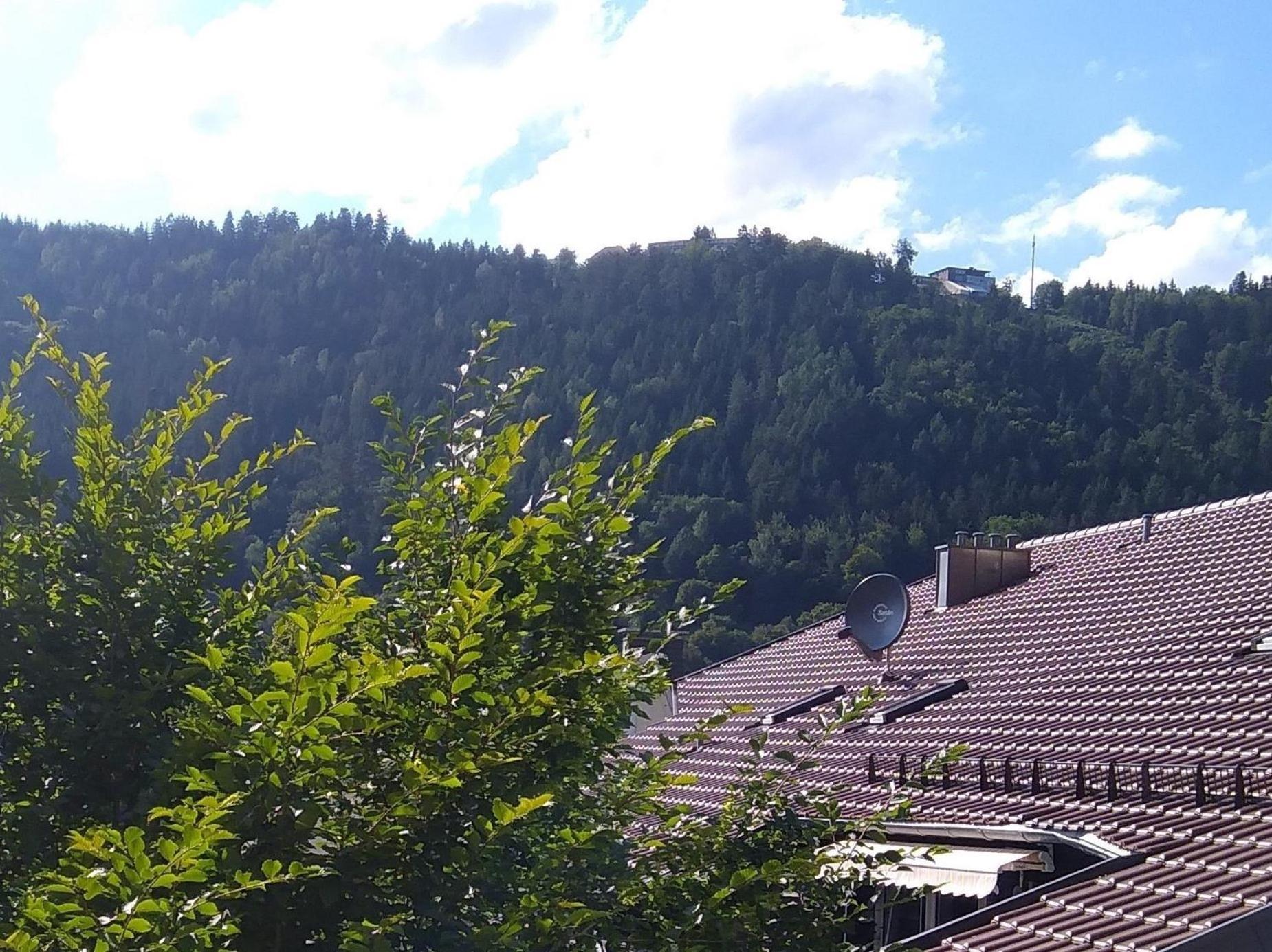 Ferienwohnung Tannenwald Bad Wildbad Eksteriør bilde