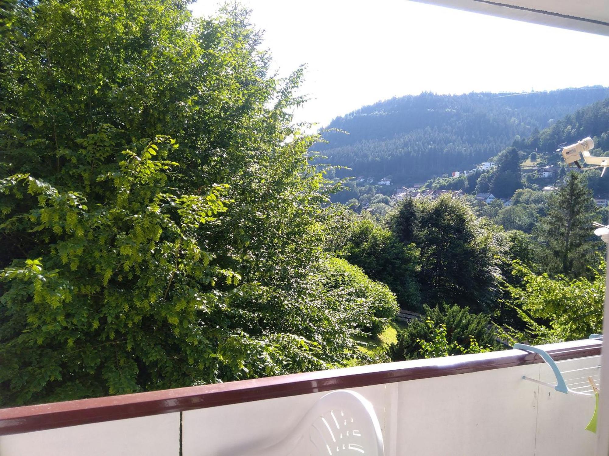 Ferienwohnung Tannenwald Bad Wildbad Eksteriør bilde